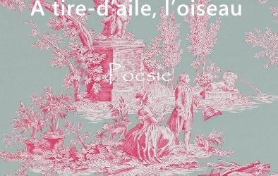 A tire d’aile, l’oiseau
