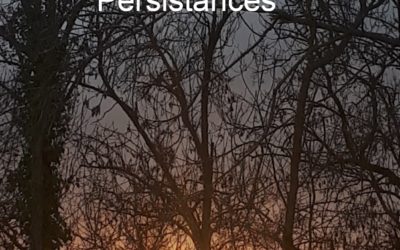 Lectures et signatures d’Éric Brouet