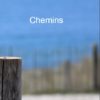 Chemins, Anthologie AMAVICA 2022