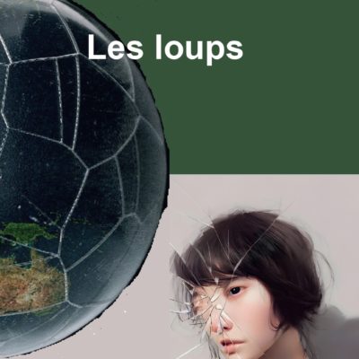 Couverture Les loups de Monique Marie Ihry